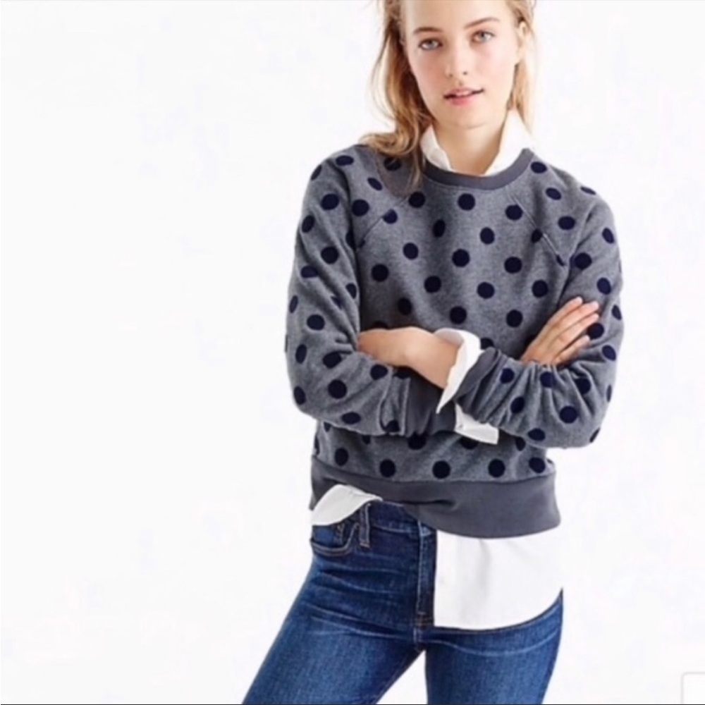 J.Crew velvet dot sweatshirt.